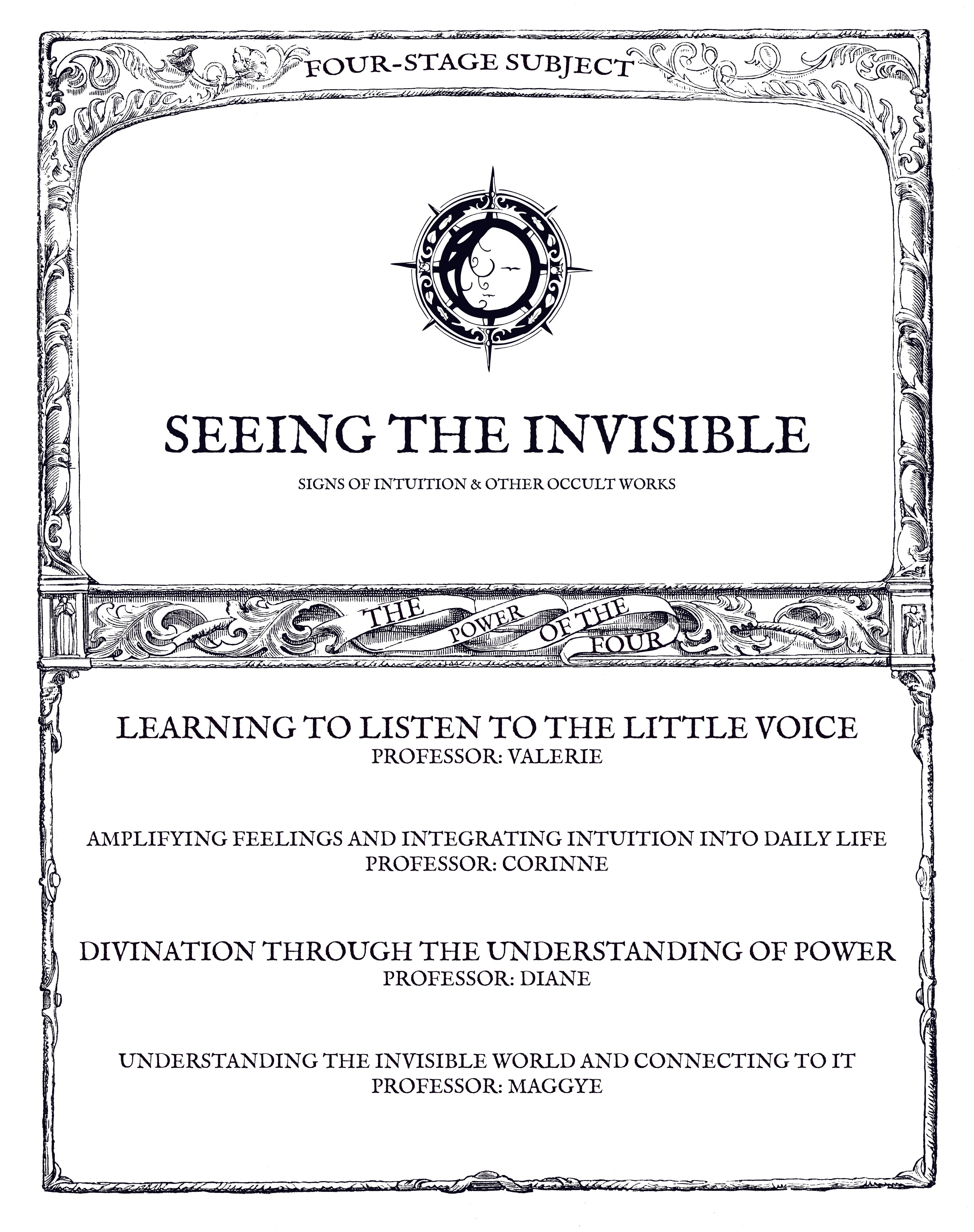 VOIR DANS L'INVISIBLE: Signes de l'intuition & autres travaux oniriques