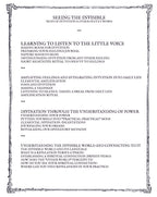 VOIR DANS L'INVISIBLE: Signes de l'intuition & autres travaux oniriques