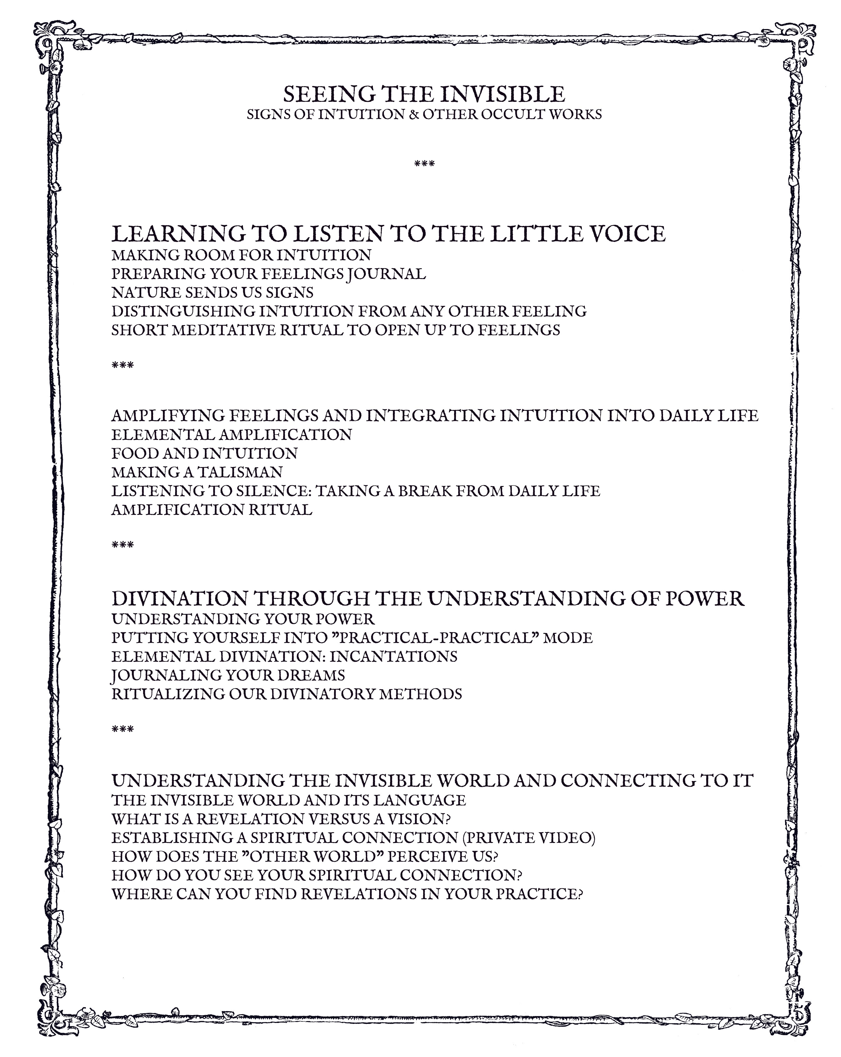 VOIR DANS L'INVISIBLE: Signes de l'intuition & autres travaux oniriques