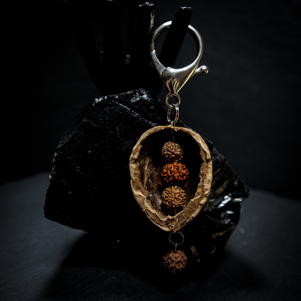 COQUILLE DE PROTECTION