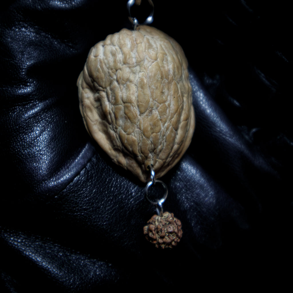 COQUILLE DE PROTECTION