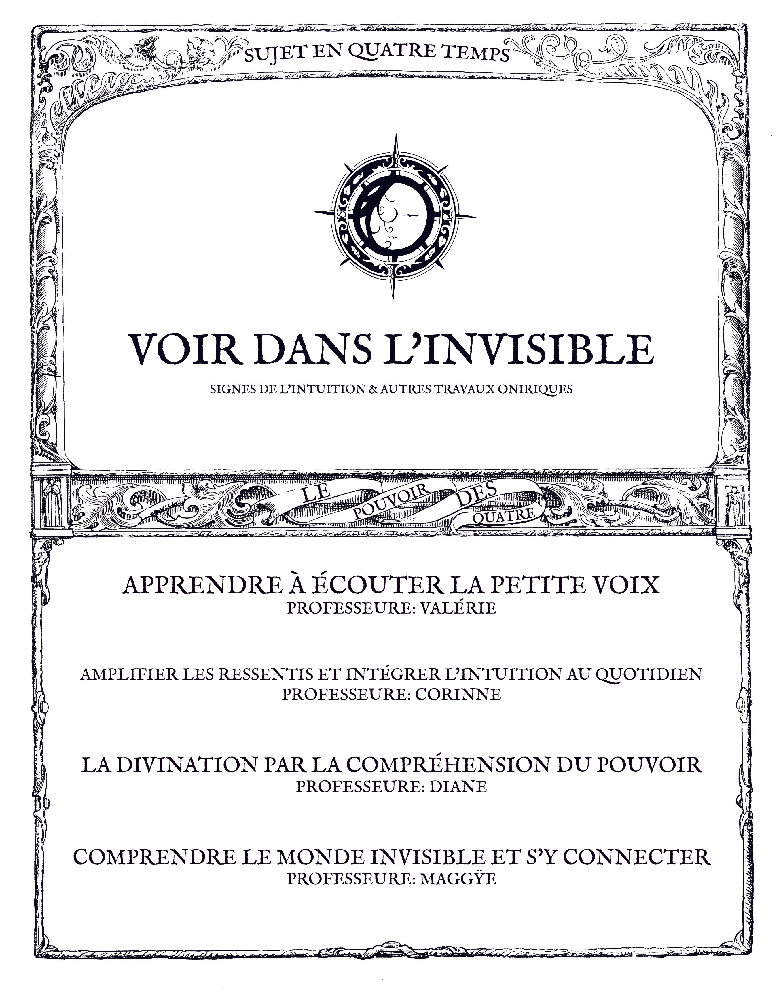 VOIR DANS L'INVISIBLE: Signes de l'intuition & autres travaux oniriques