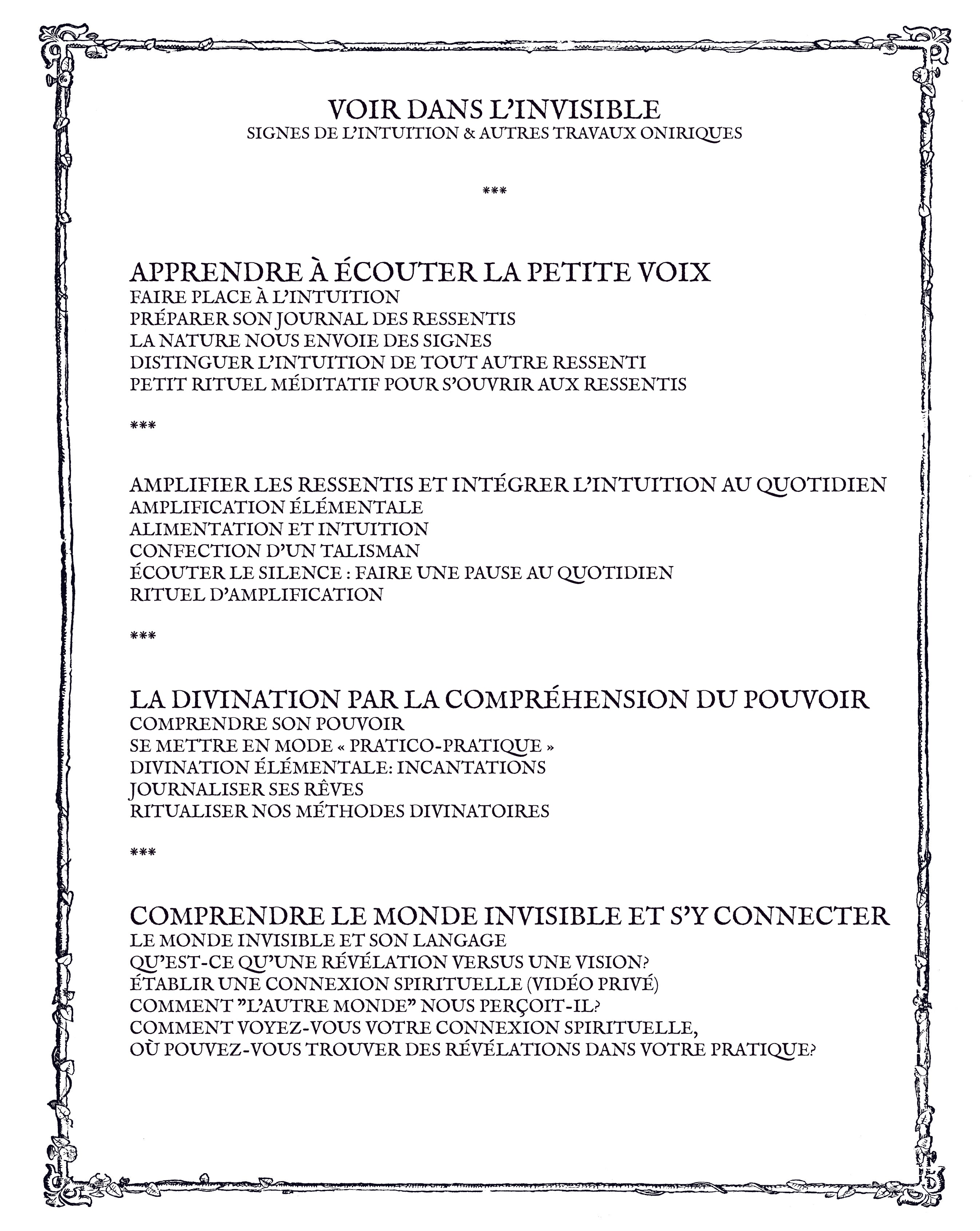 VOIR DANS L'INVISIBLE: Signes de l'intuition & autres travaux oniriques