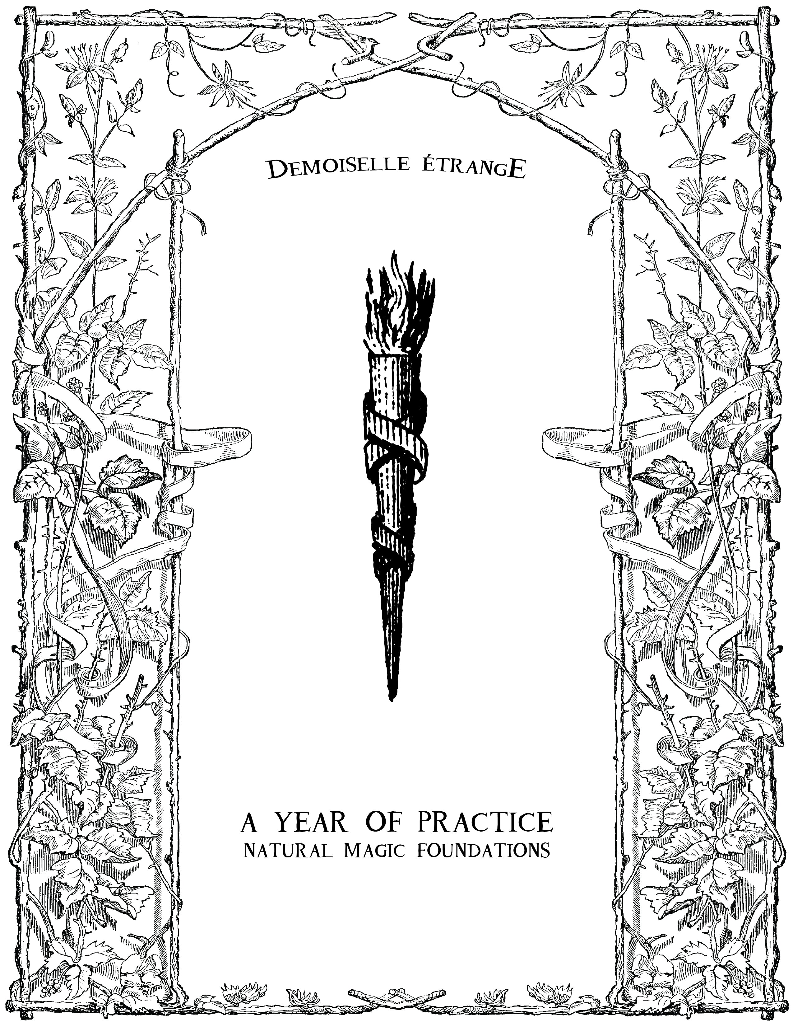 UNE ANNÉE DE PRATIQUE: Fondements de la magie naturelle