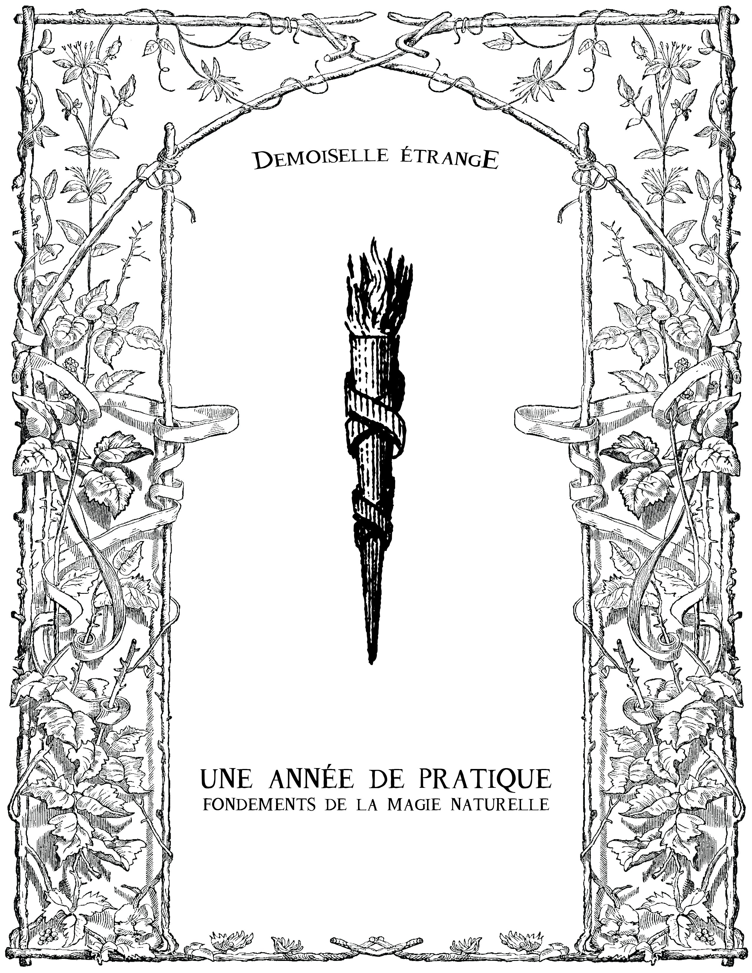 UNE ANNÉE DE PRATIQUE: Fondements de la magie naturelle