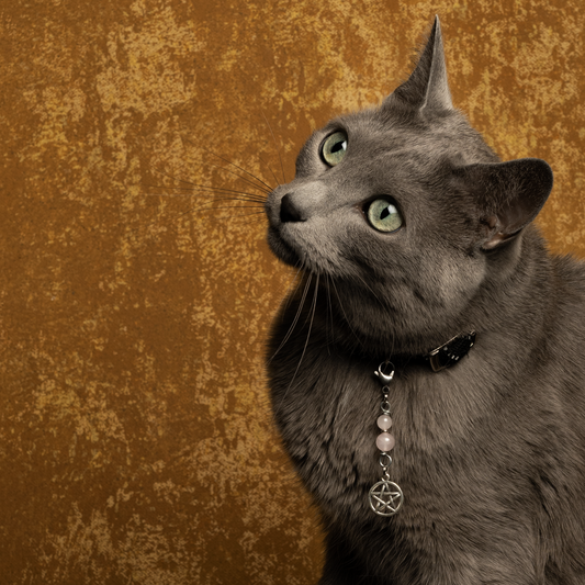 ROSE QUARTZ (Pentagram) Cat Amulet