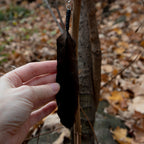 Solo earring CORVUX FEATHER