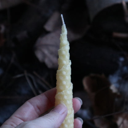 5 Chandelles NATURELLES spiralées