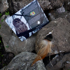 Boucle Solo de plumes PIERRE DE LUNE