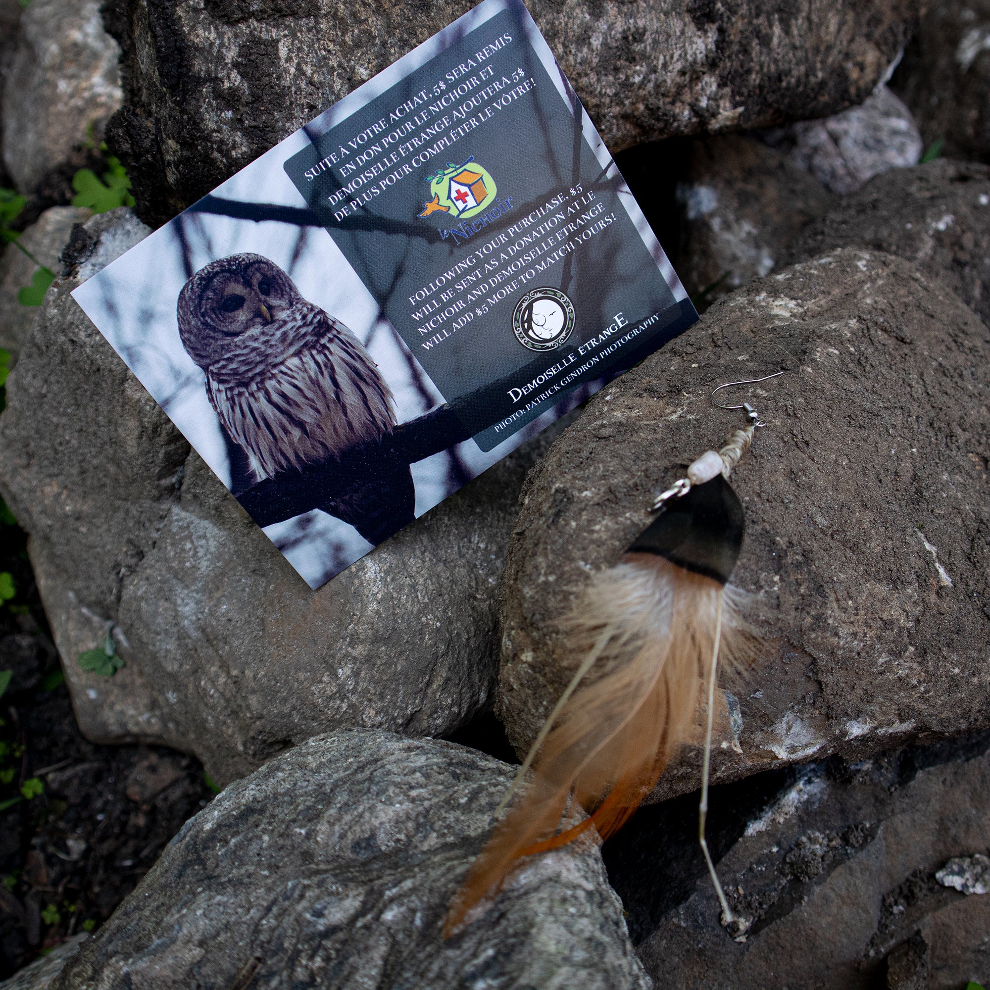 MOONSTONE Solo feathers Earring