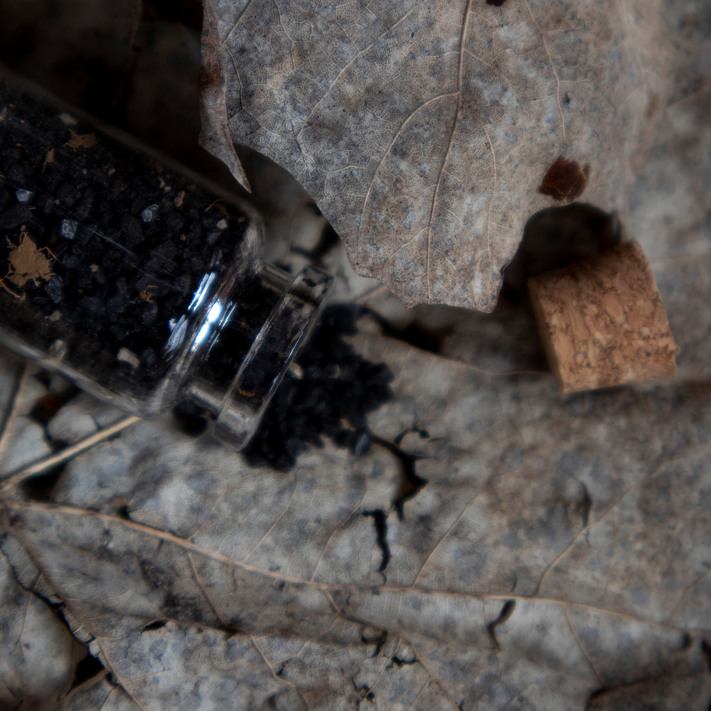 Ensemble rituel PURIFICATION