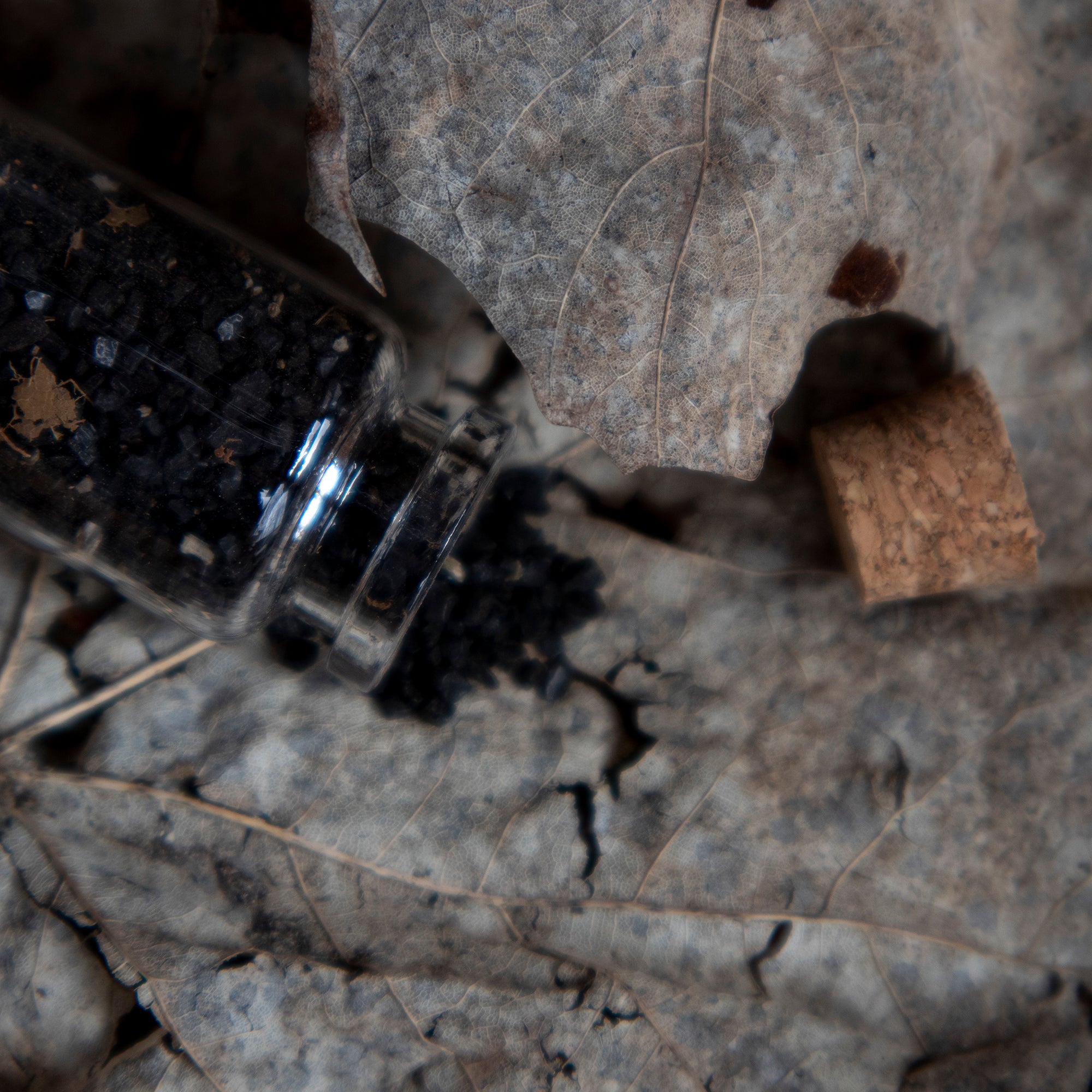 Ensemble rituel PURIFICATION