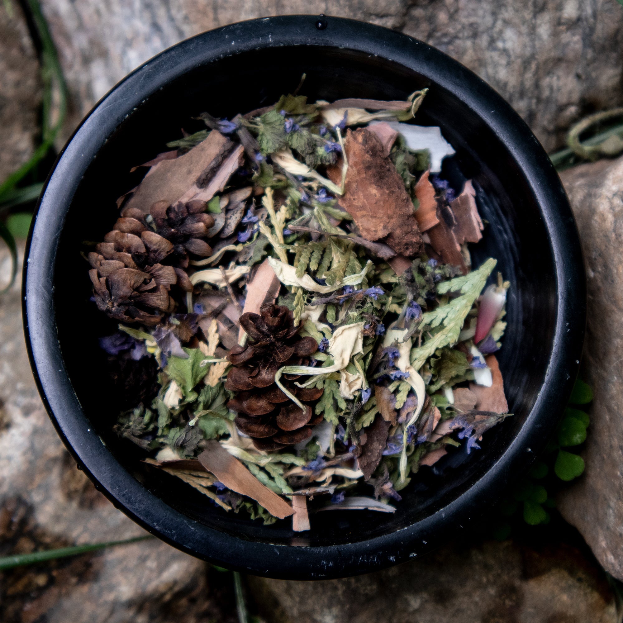 Mélange floral ANCESTRAL