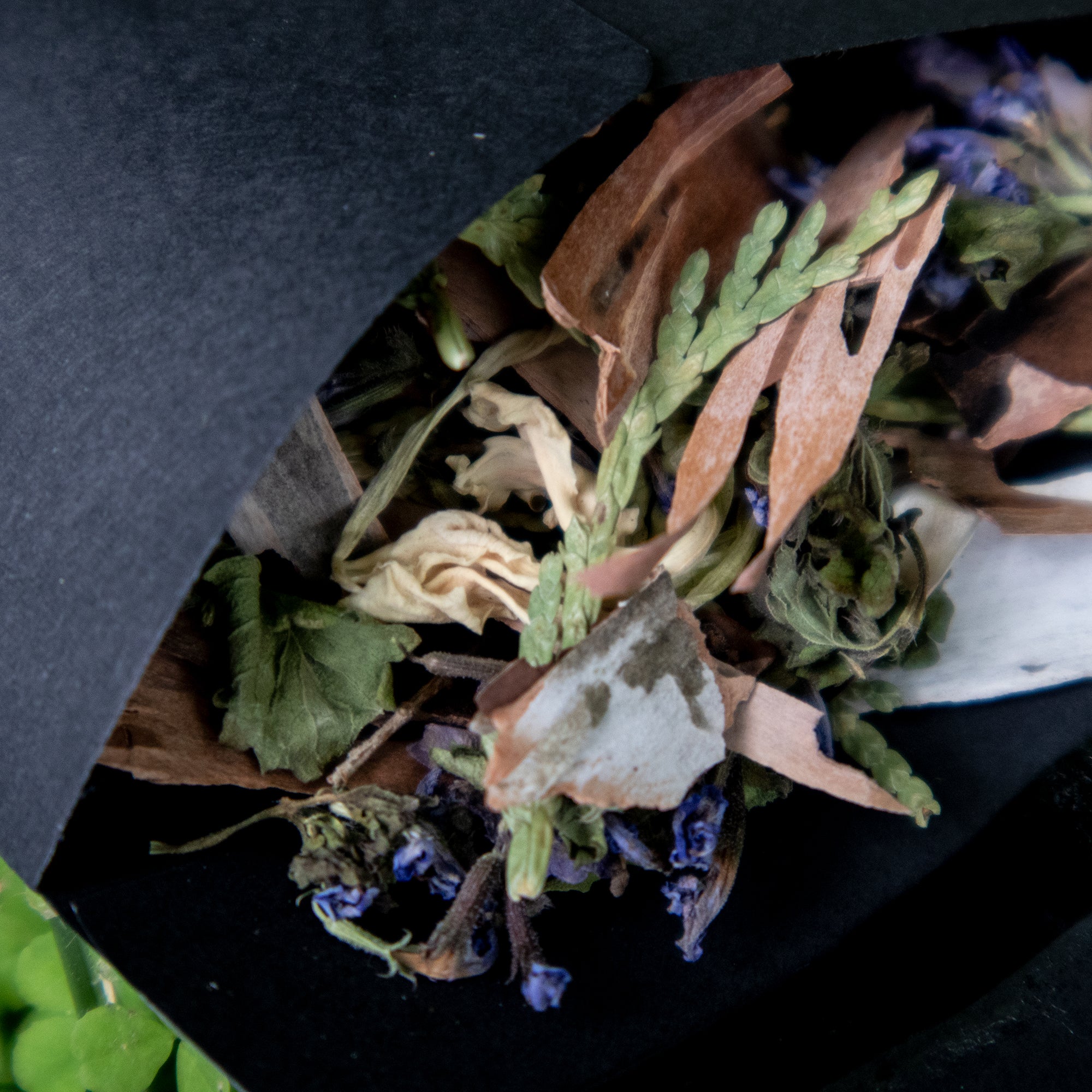 Mélange floral ANCESTRAL