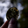MOSS AGATE Worry Stone