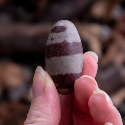 SHIVA LINGAM EGG