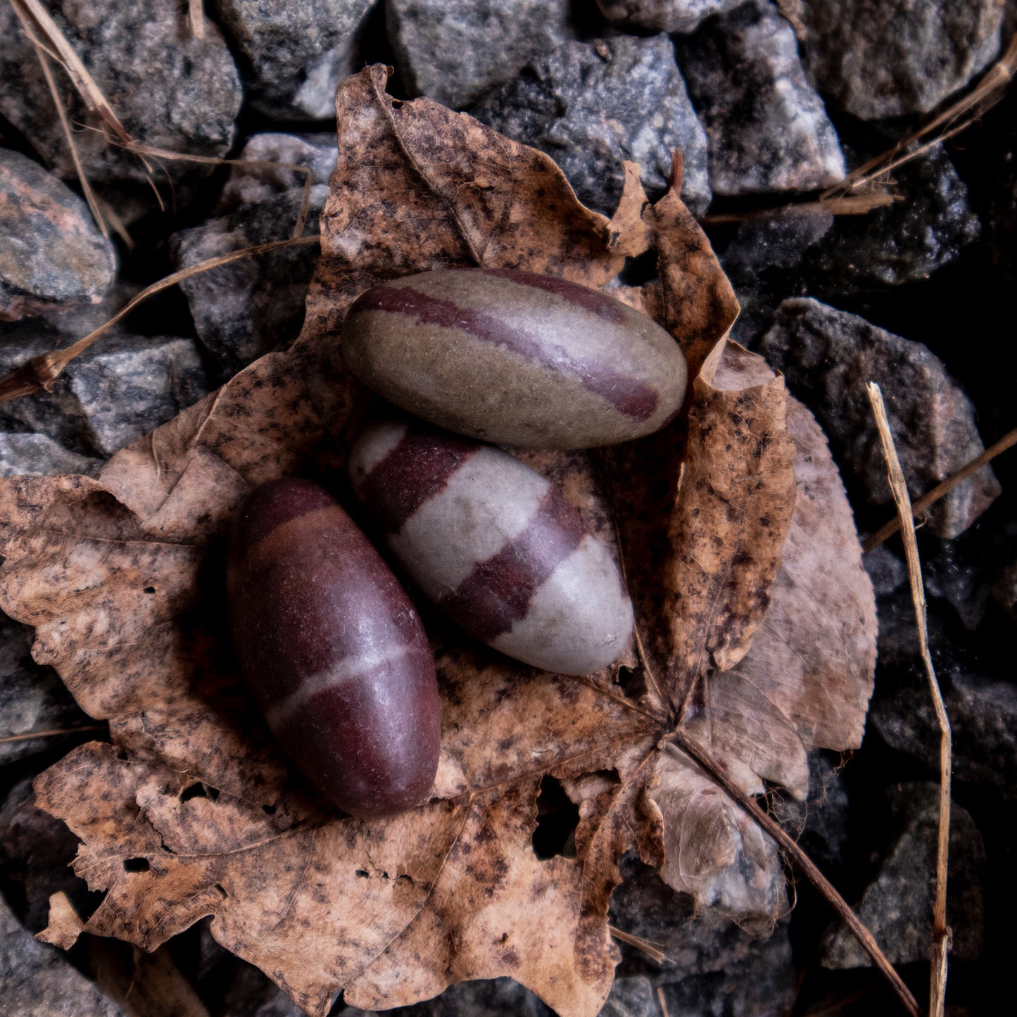 OEUF DE SHIVA LINGAM